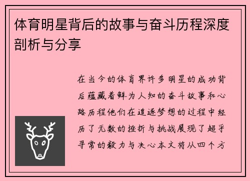 体育明星背后的故事与奋斗历程深度剖析与分享