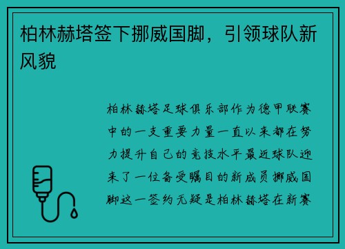 柏林赫塔签下挪威国脚，引领球队新风貌